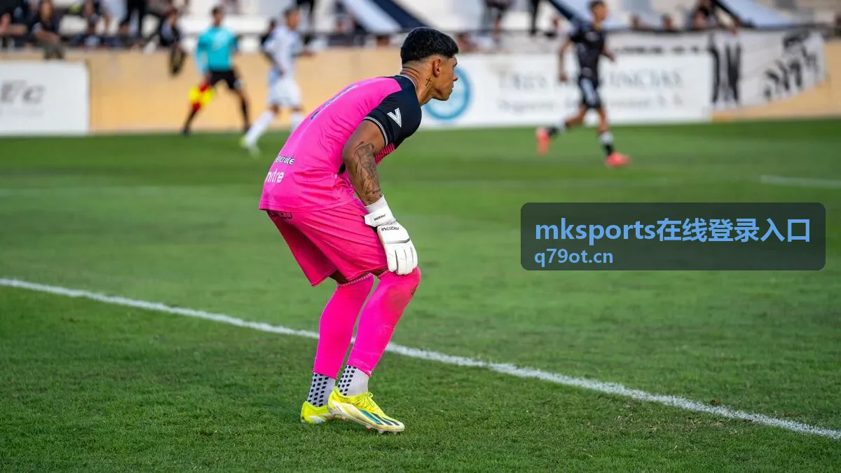 mksports在线登录入口账号验证流程示意