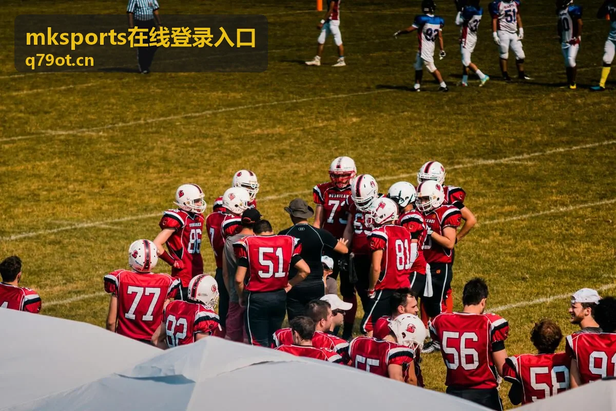 mksports在线登录入口账号安全验证设置