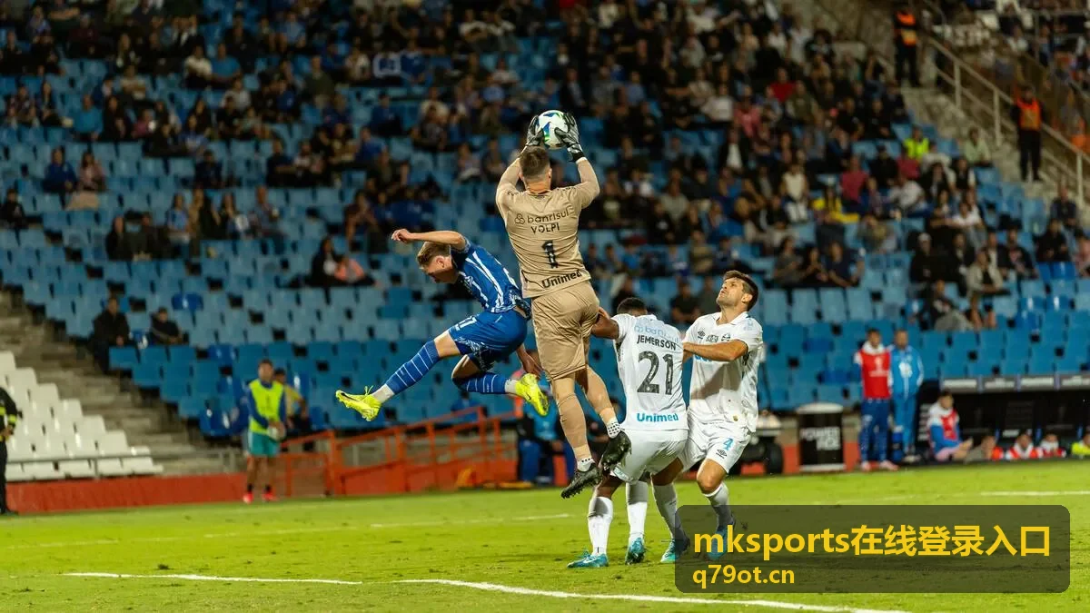 mksports在线登录入口短信与邮箱验证码接收排查