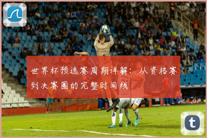 世界杯预选赛周期详解：从资格赛到决赛圈的完整时间线