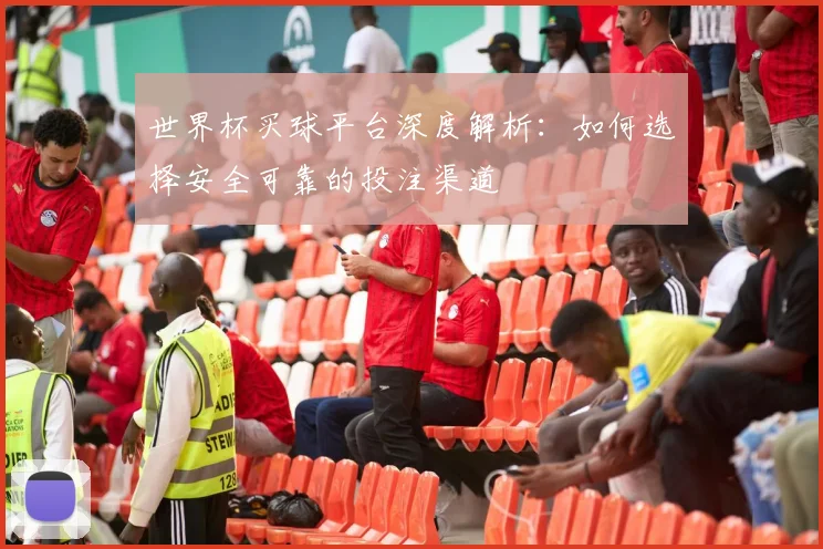 世界杯买球平台深度解析：如何选择安全可靠的投注渠道