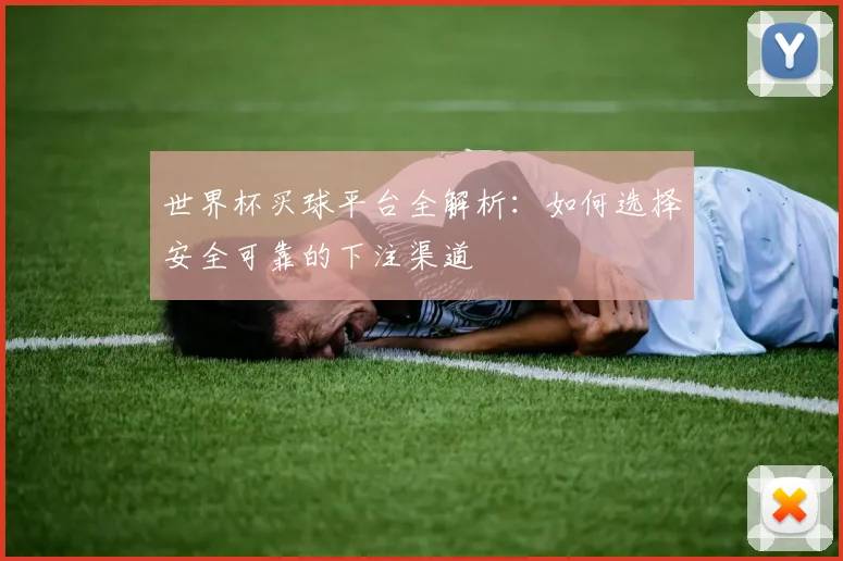 世界杯买球平台全解析：如何选择安全可靠的下注渠道